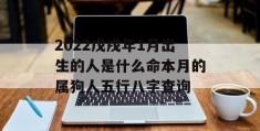 2022戊戌年1月出生的人是什么命本月的属狗人五行八字查询