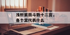 浅析紫薇斗数十二宫，各个宫代表什么