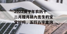 2022庚子年农历十二月腊月初九出生的宝宝好吗，五行八字查询