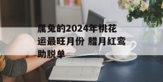 属兔的2024年桃花运最旺月份 腊月红鸾助脱单