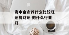 海中金命养什么比较旺运势财运 做什么行业好