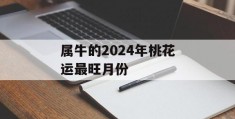 属牛的2024年桃花运最旺月份