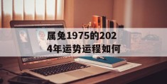 属兔1975的2024年运势运程如何