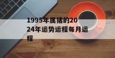 1995年属猪的2024年运势运程每月运程