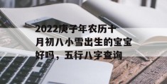 2022庚子年农历十月初八小雪出生的宝宝好吗，五行八字查询