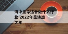 海中金命适合做什么行业 2022年是转运之年