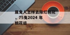 属兔人怎样去除烂桃花，75兔2024 年桃花运