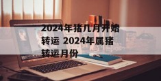 2024年猪几月开始转运 2024年属猪转运月份