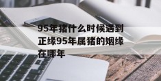 95年猪什么时候遇到正缘95年属猪的姻缘在哪年