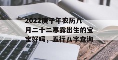 2022庚子年农历八月二十二寒露出生的宝宝好吗，五行八字查询