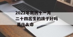 2022年阴历十一月二十四出生的孩子好吗 是什么命