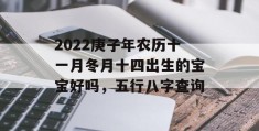 2022庚子年农历十一月冬月十四出生的宝宝好吗，五行八字查询