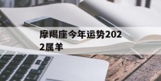 摩羯座今年运势2022属羊