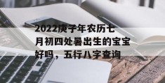 2022庚子年农历七月初四处暑出生的宝宝好吗，五行八字查询