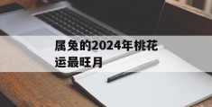 属兔的2024年桃花运最旺月