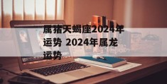 属猪天蝎座2024年运势 2024年属龙运势