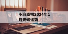 小麻卓根2024年1月天蝎运势