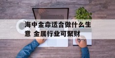 海中金命适合做什么生意 金属行业可聚财