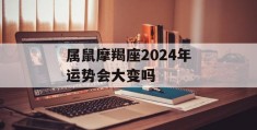 属鼠摩羯座2024年运势会大变吗