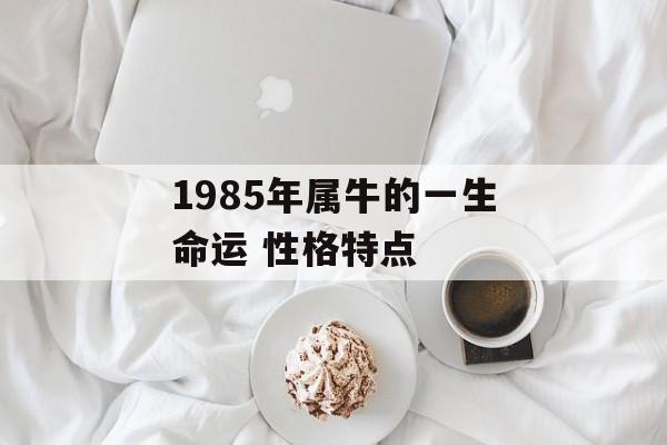 1985年属牛人2024年下半年运势 (1985年属相)